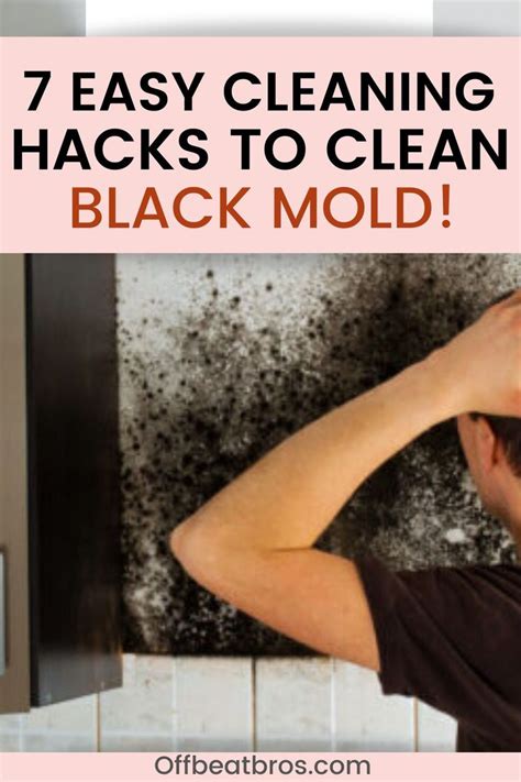 cleaning mud Ireland|black mold removal ireland.